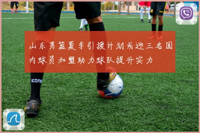 山东男篮夏季引援计划或迎三名国内球员加盟助力球队提升实力